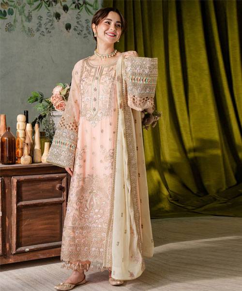 naina-chiffon1 naina-chiffon3-4