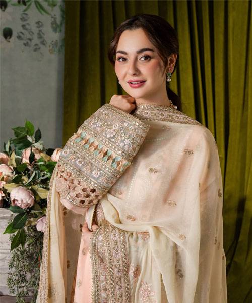 naina-chiffon3 naina-chiffon3-4