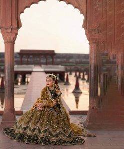 Mohsin-Naveed-Ranjha-9