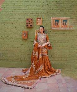 Mohsin-Naveed-Ranjha-7