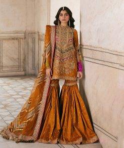 Mohsin-Naveed-Ranjha-7