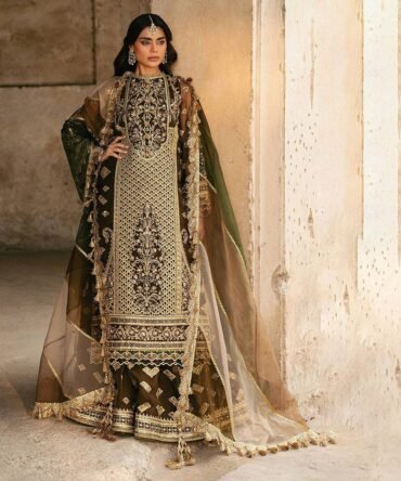 Mohsin-Naveed-Ranjha-6