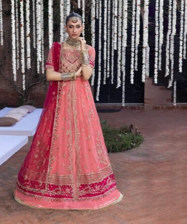 Rang-Rasiya-6