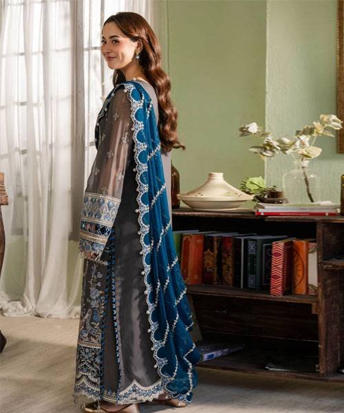 naina-chiffon3-3