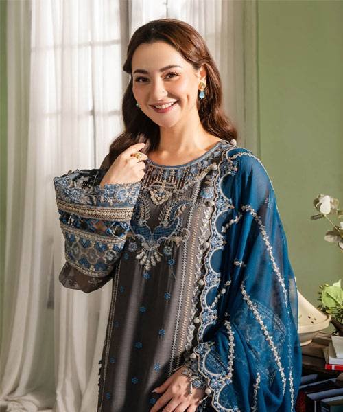 naina-chiffon3-3