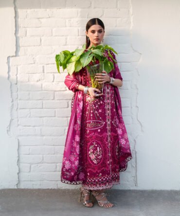BIN ILYAS